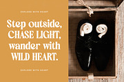 Ordinal Modern Display Serif Font, a Serif Font by timelesstype.co (Thumbnail 10 of 20)