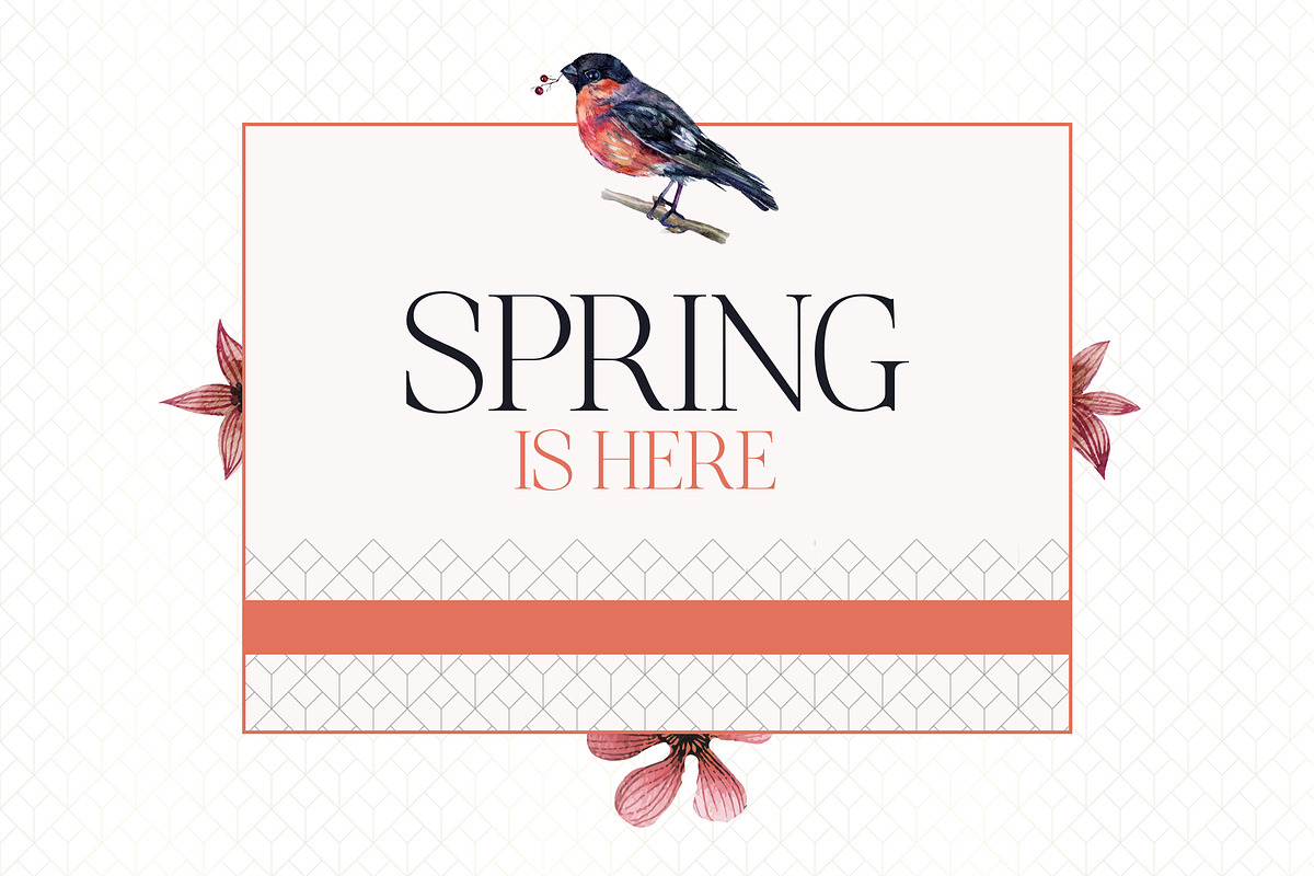 Elegant - Font Collection - 7 Fonts, a Sans Serif Font by CorgiAstronaut (Photo 12 of 41)