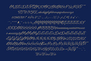 DT Escape Memories - Font Duo, a Serif Font by Dryy.type (Thumbnail 11 of 14)