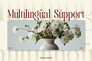 Calvigan - Romantic Elegant Luxury, a Serif Font by Qweera Studio (Thumbnail 9 of 12)