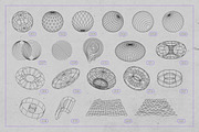 3D Wireframe Shapes | set 1, an Object Graphic by MaximGertsen (Thumbnail 2 of 7)
