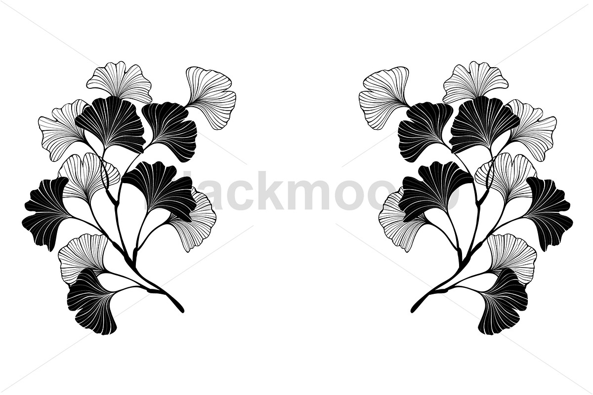 Black ginko twigs frame, a Decorative Illustration by blackmoon9
