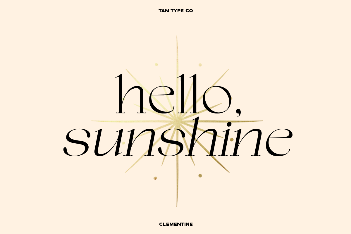 TAN - CLEMENTINE, a Serif Font by TanType (Photo 5 of 20)