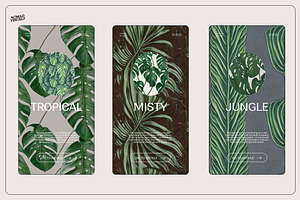 Monstera Tropical Collection