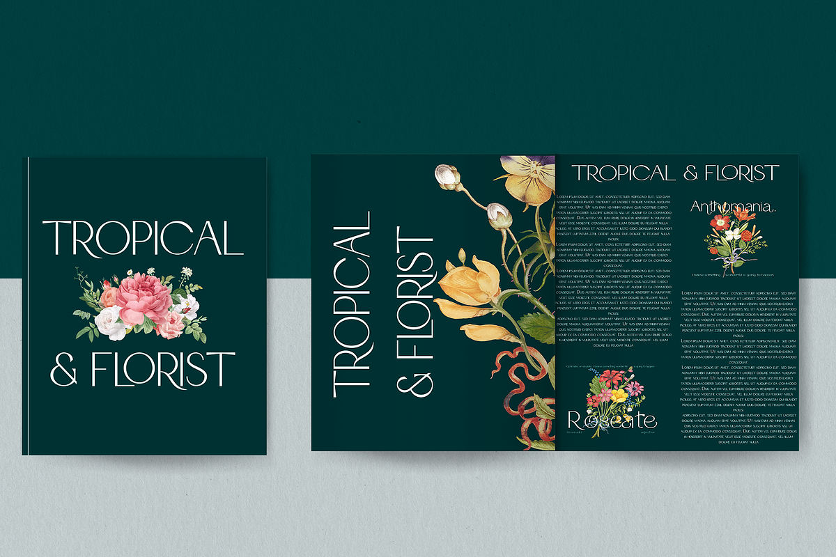 Glorya Modern Stylish, a Sans Serif Font by Say Studio (Photo 13 of 25)