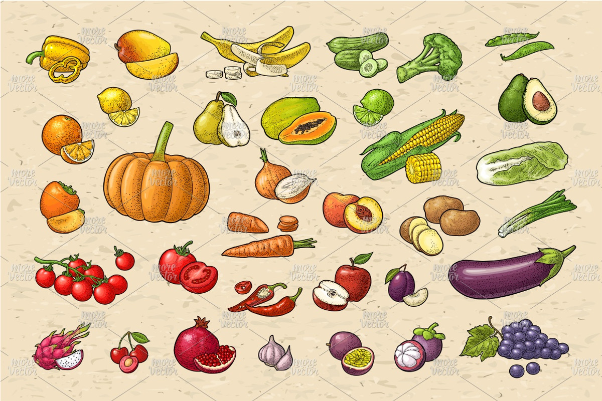 Set vegetable fruit engraving, a Food Illustration by MoreVector (Photo 1 of 2)
