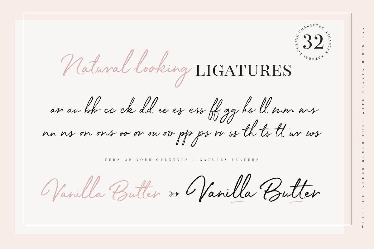 White Oleander Handwritten Font, a Script Font by Nicky Laatz (Photo 10 of 16)
