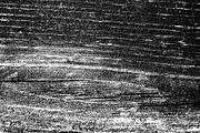 Wood Grain Overlay / Texture Pack 1, a Texture Graphic by Ryan McGehee (Thumbnail 13 of 13)