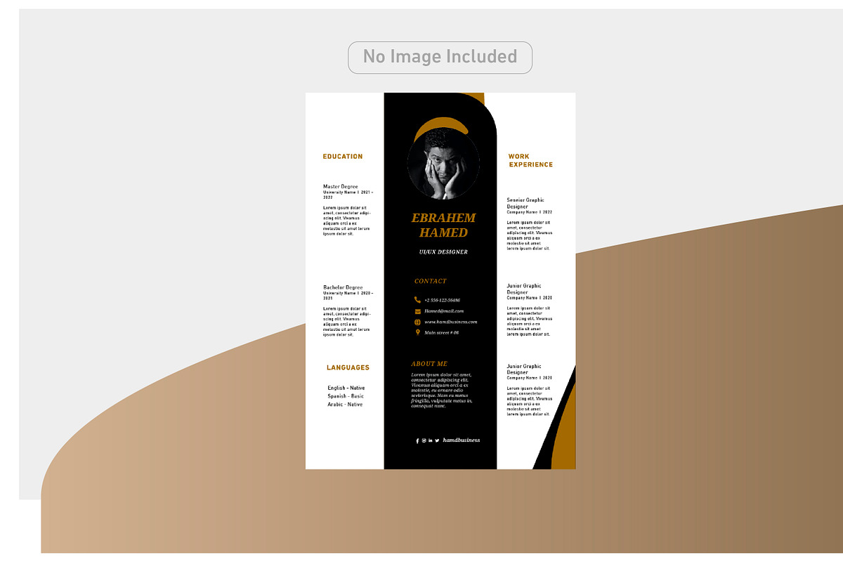 Luxury and simple CV, a Resume Template by Hamed Studio
