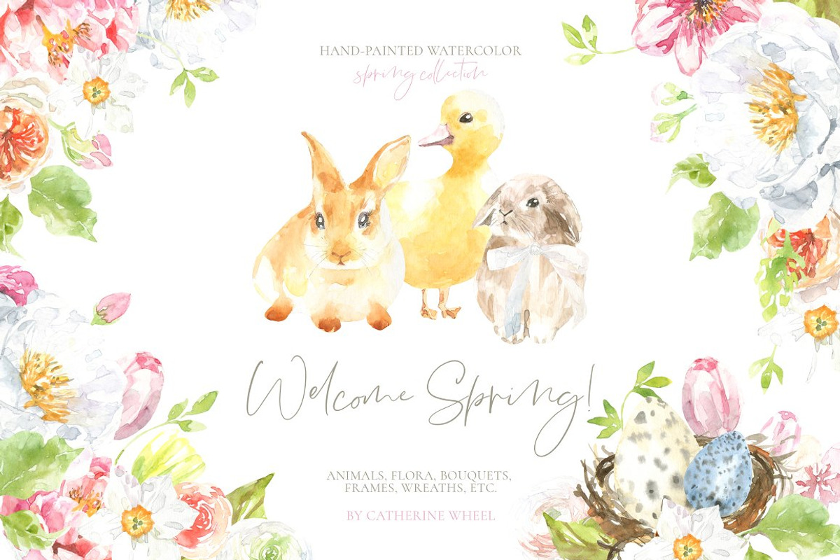 26in1 BUNDLE Watercolor Animal, an Animal Illustration by Catherine Wheel (Photo 14 of 27)