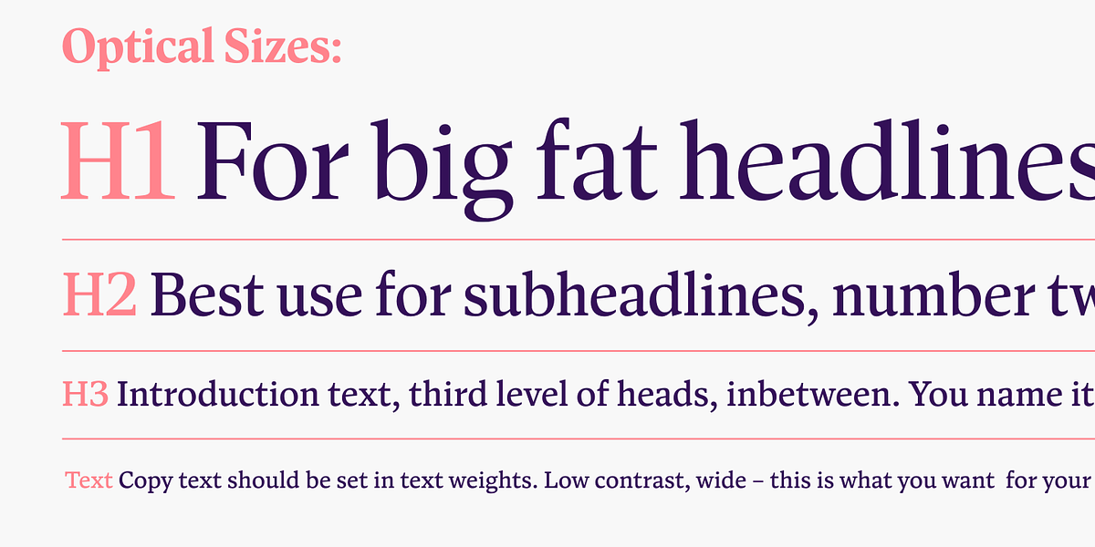 Antonia, a Serif Font by Typejockeys (Photo 3 of 6)