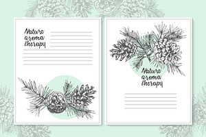 Hand Drawn Sketch Fir With Pinecone