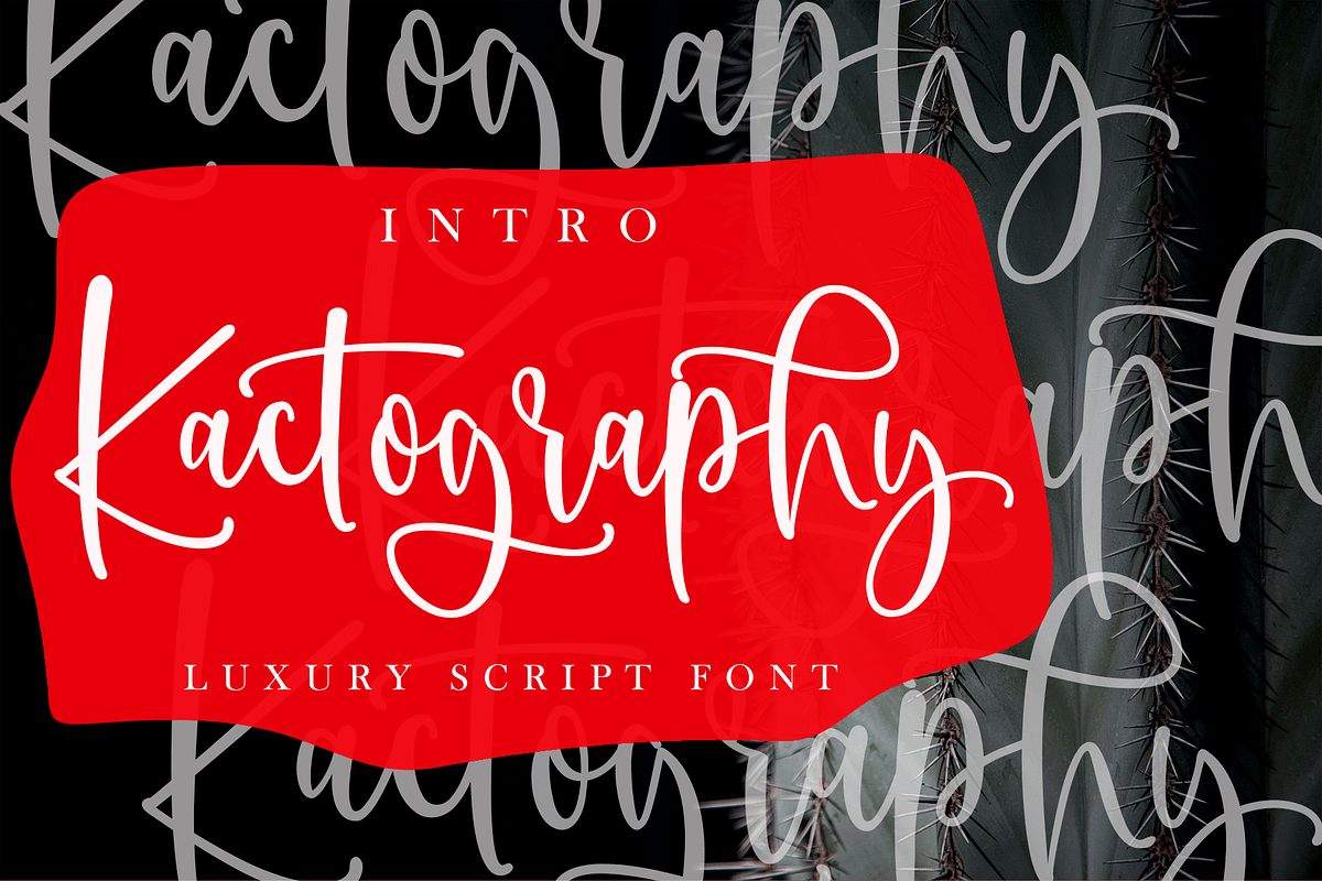 Kactography Calligraphy, a Script Font by Meutuwah (Photo 8 of 8)