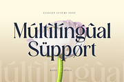 Roses Smyth Elegant Font, a Serif Font by Haps Space (Thumbnail 11 of 15)