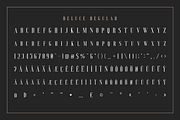 Deluce - Luxury Serif Font, a Serif Font by Craft Supply Co. (Thumbnail 7 of 14)