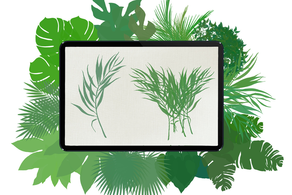 Palm leaves brushes for Procreate, a Brush Add-On by AnastasiyaOleynik (Photo 5 of 12)