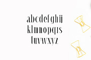 Timm Serif 4 Font Family Pack, a Serif Font by Creativetacos (Thumbnail 3 of 5)