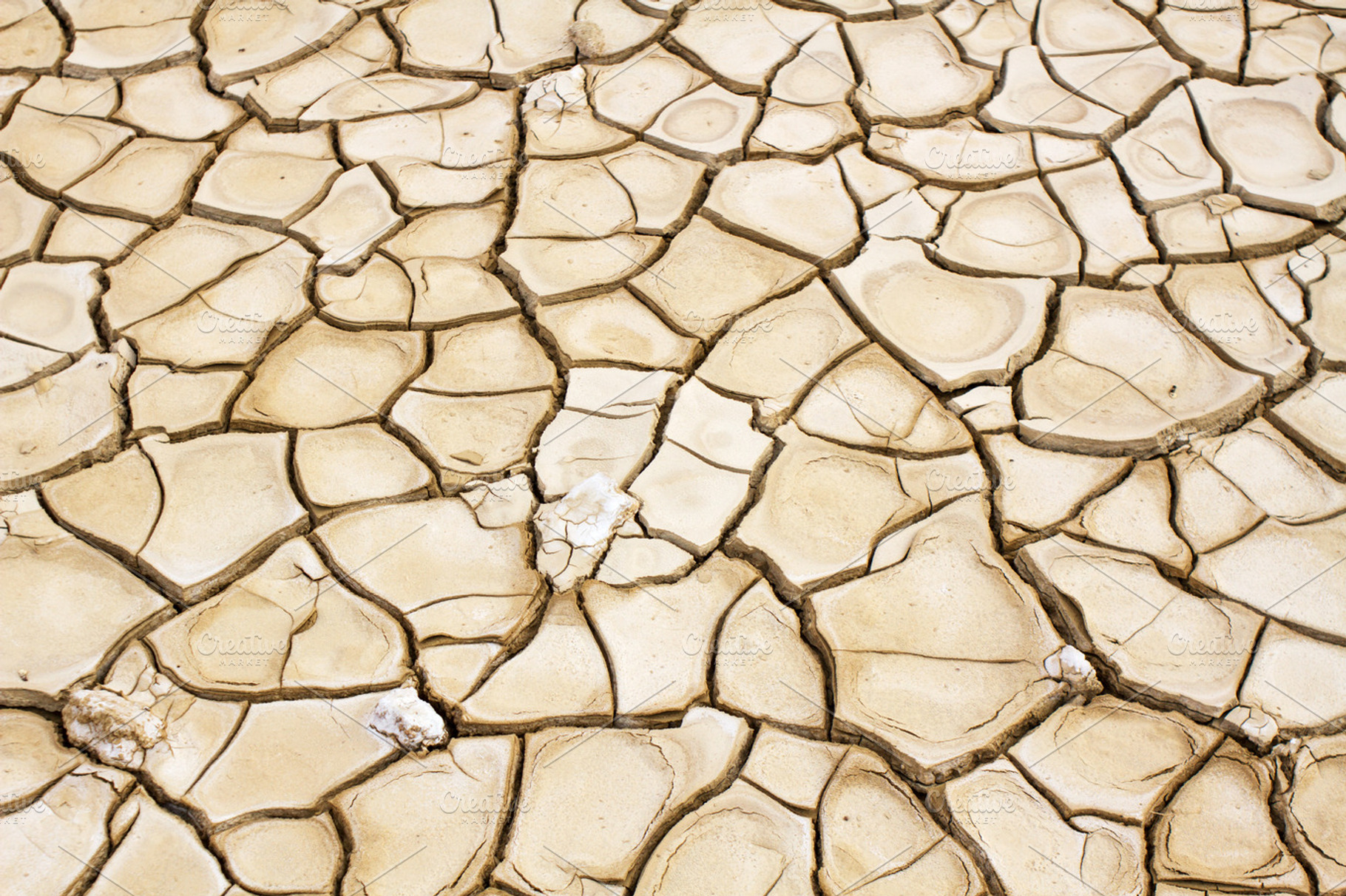 Texture featuring earth, drought, and ground, an Abstract Photo by suprunvitaly