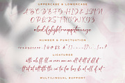 Bung Virgi - Signature Script Font, a Script Font by StringLabs (Thumbnail 10 of 11)