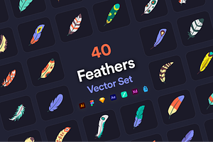 Feathers Vector Set