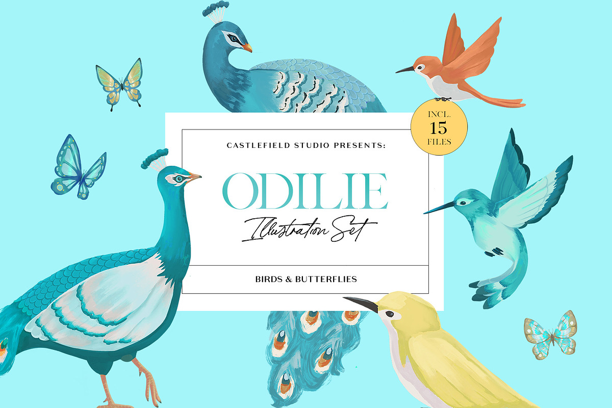 Odilie Birds & Butterflies Set, an Illustration by Castlefield Design