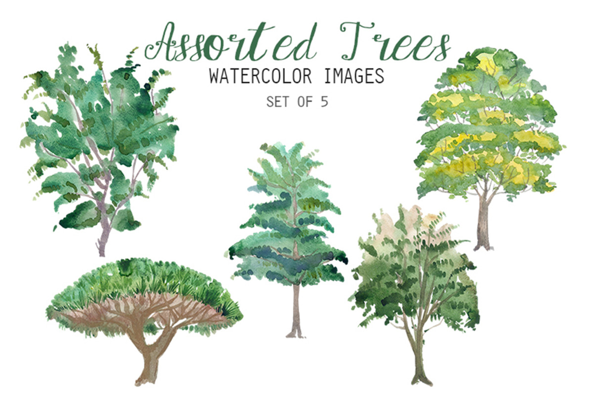 Watercolor Assorted Trees Clipart, an Illustration by YesFoxy
