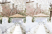 BRIGHT AIRY WEDDING VIDEO LUTS, a Plug-in Add-On by FOXIMIDesign (Thumbnail 6 of 6)