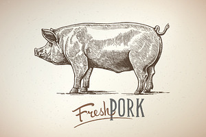 Pigs in graphical style