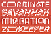 Eqoos Font, a Sans Serif Font by IWMType (Thumbnail 2 of 7)