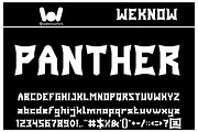 Panther Font, a Font by weknow