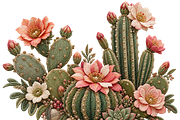 Beaded Flowering Cactus PNG, an Object Graphic by The Edit (Thumbnail 1 of 3)