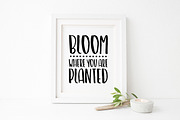 BLOSSOM BRUSH Font, a Sans Serif Font by Blush Font Co. (Thumbnail 3 of 3)