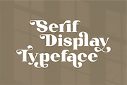 Karlout, a Serif Font by RT Studio (Thumbnail 3 of 15)