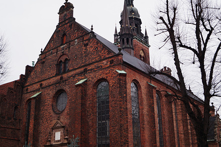 Historic brick Church of the Holy Spirit building surrounded by bare trees in C, a Photo by AS photostudio