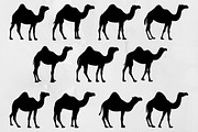 Camel Silhouette SVG, an Animal Illustration by newminddesign (Thumbnail 1 of 3)