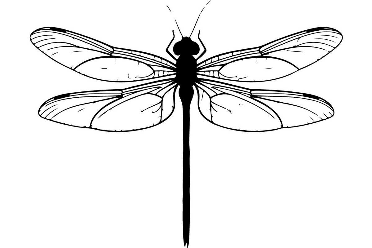 Dragonfly Silhouette, an Object Graphic by Designer_Momina (Photo 20 of 20)