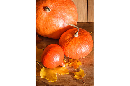 Pumpkins on grunge wooden backdrop, a Food & Drink Photo by Our Amazing World