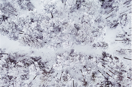 Winter road in snow covered forest, a Nature Photo by Nature and travel