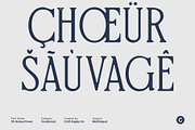 CS Qeisya Drawn, a Serif Font by Craft Supply Co. (Thumbnail 5 of 8)