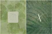 FloraVerde: Botanical Backgrounds, a Background Graphic by alonahaidash (Thumbnail 5 of 12)