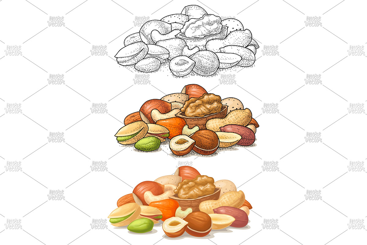Pattern and stack nut engrave, icon, a Food Illustration by MoreVector (Photo 2 of 4)
