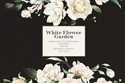 Watercolor White Flowers Collection, a Decorative Illustration by Damian Roh (Thumbnail 3 of 16)