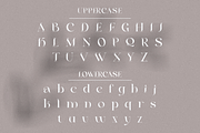 Mylanish _ unique modern typeface, a Serif Font by Penatic Studio (Thumbnail 9 of 11)