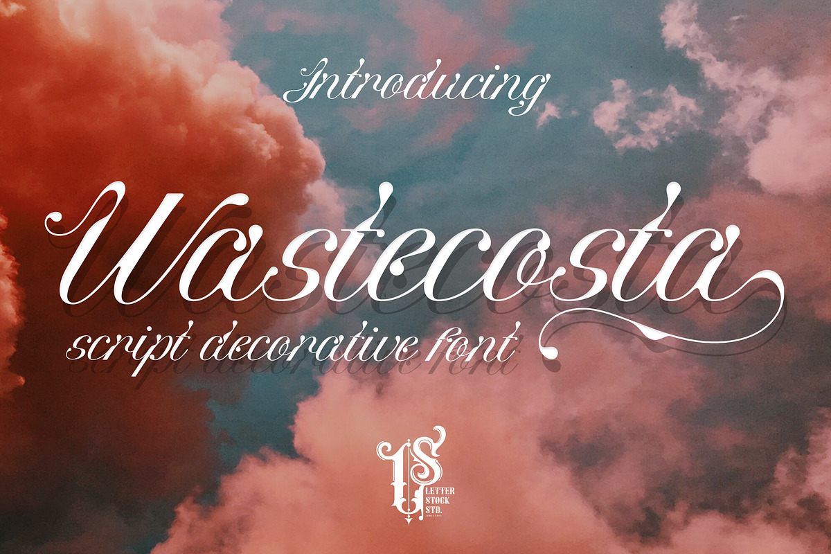 Wastecosta, a Script Font by LetterStock (Photo 1 of 7)
