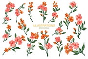 Summer Seamless Floral Pattern, a Pattern Graphic by Mariia Kovalchuk (Thumbnail 4 of 12)