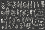 46 hand drawn floral elements, a Decorative Illustration by pixelwerk (Thumbnail 2 of 3)