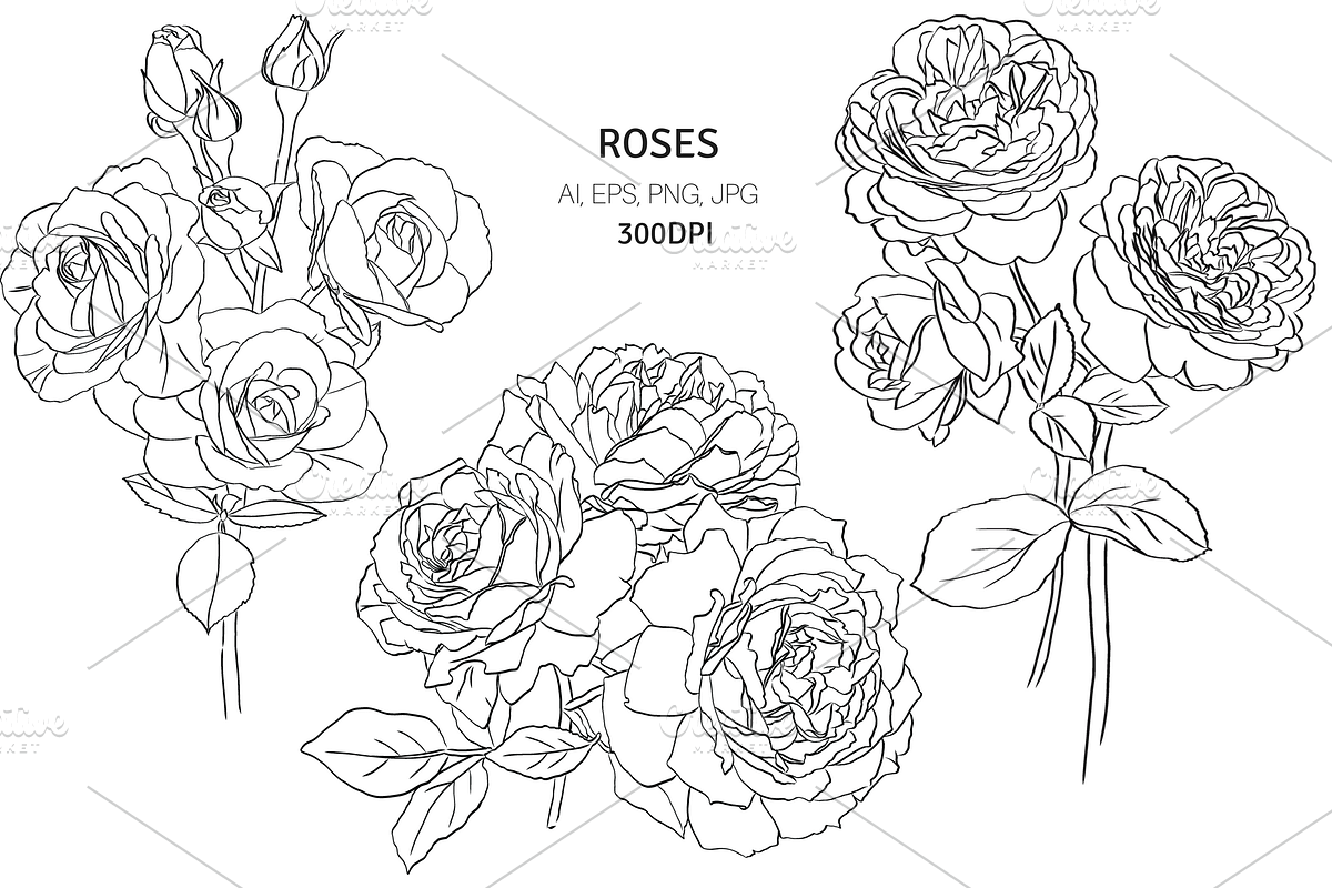 Bunch of Roses, an Object Graphic by VictoriaKStudio (Photo 1 of 8)