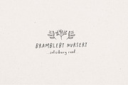 Perky Petunias Handwritten Font, a Font by Nicky Laatz (Thumbnail 3 of 11)