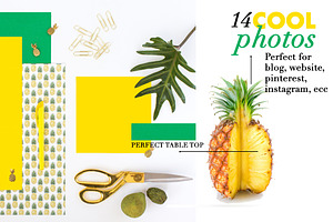 Pineapple Working Space Bundle