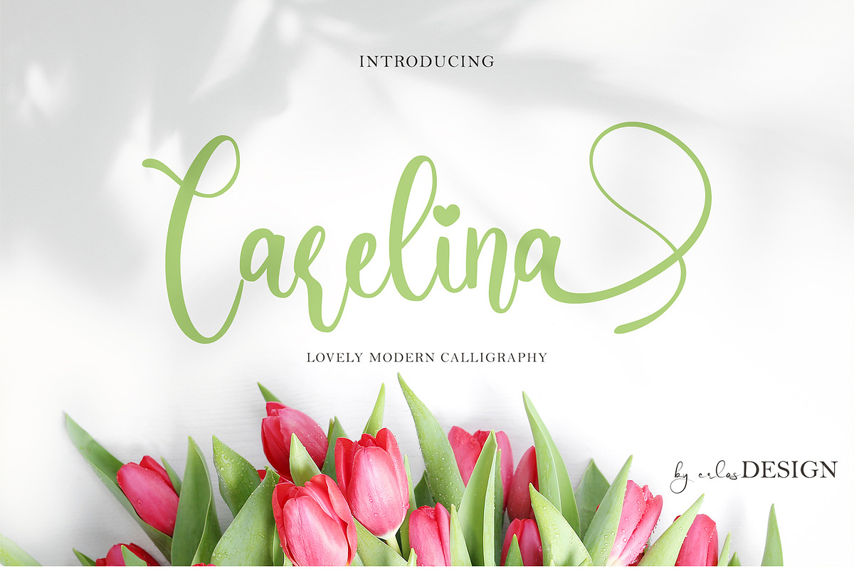 Carelina - Modern Calligraphy, a Script Font by erlosDESIGN (Photo 1 of 12)